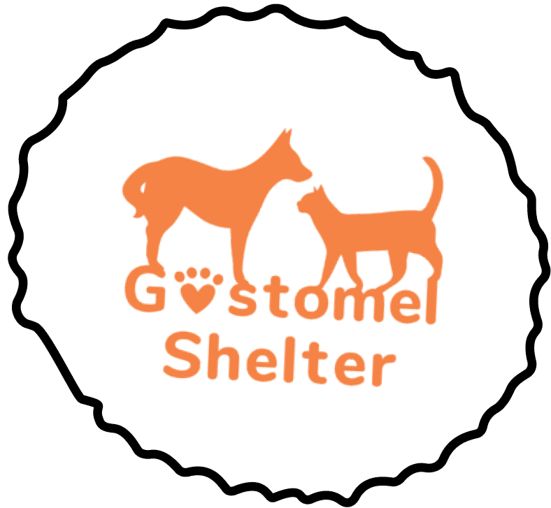 shelter logo