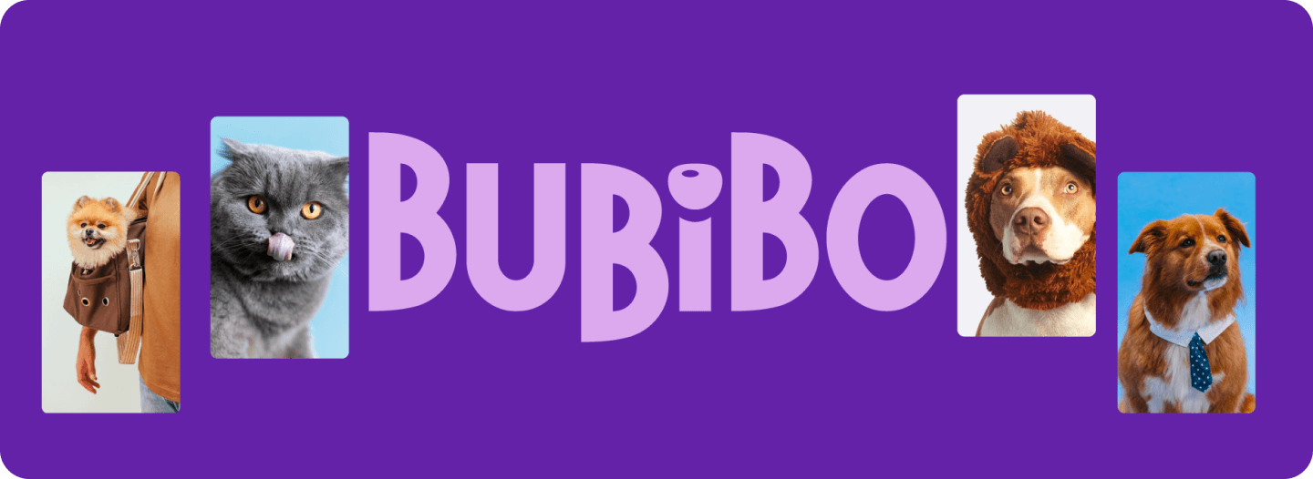 bubibo banner